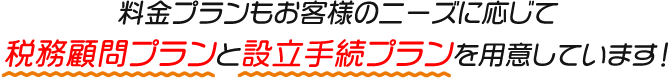 料金プランも税務顧問プランと設立手続プランを用意しています